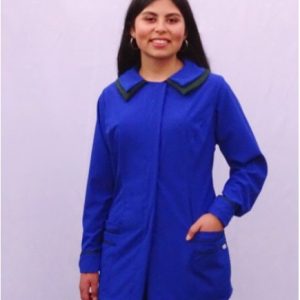 Técnico en Parvulario