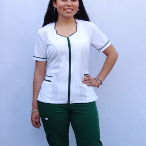 Técnico en Odontología